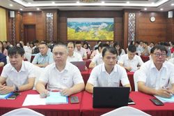 Đảng ủy UBND tỉnh: Bồi dưỡng nghiệp vụ công tác xây dựng Đảng