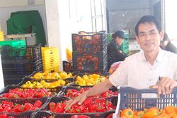Liên kết để nâng tầm vùng nguyên liệu