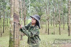 Tạo cơ hội việc làm cho người lao động
