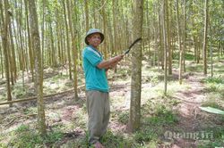 Hồ Pheo làm theo lời Bác