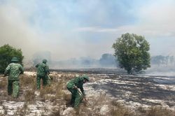 Kịp thời khống chế vụ cháy rừng tại xã Mỹ Thủy