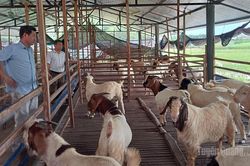 Phát huy vai trò tổ hội nghề nghiệp nông dân
