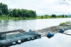 Không thể 'đánh cược' mãi với thời tiết