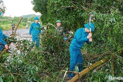 Phong Thái bàn giải pháp giảm thiểu thiệt hại do thiên tai