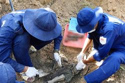 An Giang: Đội K92 quy tập 63 h&agrave;i cốt liệt sĩ từ ấp rẫy Mới, x&atilde; Ki&ecirc;n Lương
