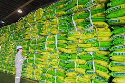 Bước chuyển trong mô hình tăng trưởng PVFCCo - Phú Mỹ