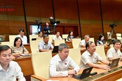 Nh&igrave;n từ Kỳ họp kh&ocirc;ng thường lệ thứ Nhất, Quốc hội Kh&oacute;a XVI: Dấu ấn tr&aacute;ch nhiệm của Đo&agrave;n ĐBQH tỉnh Nghệ An B&agrave;i cuối: Nối d&agrave;i tr&aacute;ch nhiệm với cử tri