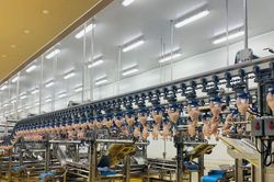 Thịt gà chế biến của Việt Nam chính thức xuất khẩu sang Hàn Quốc