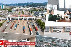Lào Cai: Bảo đảm kiểm soát an toàn thực phẩm nhưng không làm chậm thông quan