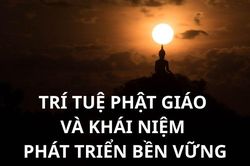 Trí tuệ Phật giáo và khái niệm phát triển bền vững