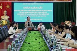 Giám sát thực hiện chính sách hỗ trợ phụ nữ tại xã Bảo Lâm