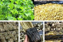 B&aacute;nh gai Cao Bằng - hương vị ri&ecirc;ng ng&agrave;y Rằm th&aacute;ng Bảy