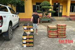Đồn Bi&ecirc;n ph&ograve;ng cửa khẩu L&yacute; Vạn bắt giữ gần 550 kg x&uacute;c x&iacute;ch v&agrave; lạp xưởng nhập lậu