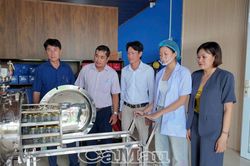 Đề án khuyến công hỗ trợ thiết bị chế biến yến sào cho hợp tác xã