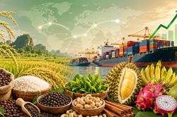 Nông sản xuất khẩu 26/8: Gạo giữ giá, rau quả tiếp tục là điểm sáng