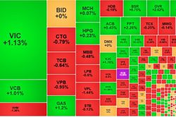 Chứng kho&aacute;n 26/8: VN-Index tăng hơn 4 điểm, BCM tăng trần