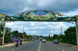 Lễ hội nhằm quảng bá, xây dựng và phát triển thương hiệu 'Sầu riêng Krông Năng'