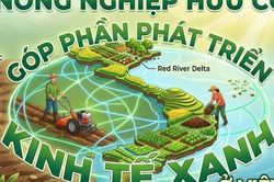 Nông nghiệp hữu cơ góp phần phát triển kinh tế xanh ở Việt Nam