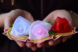 Vì sao cài hoa hồng lên áo trong ngày lễ Vu lan?