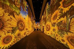 Đến Van Gogh Timeless dịp 2/9: Thích mê chẳng muốn về