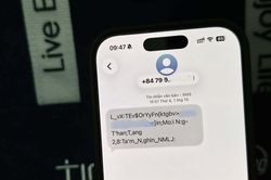 Gọi điện quảng c&aacute;o sai khung giờ c&oacute; thể bị phạt tới 100 triệu đồng