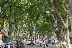 Bắc Bộ có mưa rào và dông rải rác