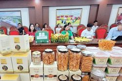 Hơn 3.500 sản phẩm OCOP được đánh giá, phân hạng