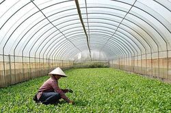 Đưa khoa học, c&ocirc;ng nghệ v&agrave;o thực tiễn, hiện đại h&oacute;a n&ocirc;ng nghiệp H&agrave; Nội