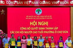 Để tổ chức Hội Người cao tuổi gần dân, sát địa bàn...