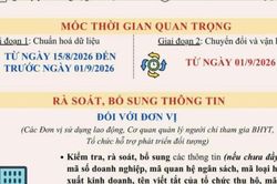 Từ 1-9-2026, sử dụng số định danh cá nhân, Căn cước công dân thay thế mã số bảo hiểm xã hội