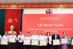 87 đảng viên Đảng bộ xã Thường Tín nhận Huy hiệu Đảng đợt 2-9