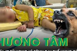 Bé gái 4 tuổi ra đi thương tâm vì bệnh dại thể hung dữ