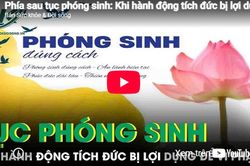 Phía sau tục phóng sinh: Khi hành động tích đức bị lợi dụng làm 'vỏ bọc' cho vi phạm