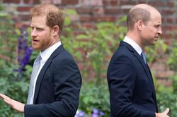 Mối quan hệ rạn nứt với Thái tử William trở thành tâm điểm chú ý khi Hoàng tử Harry sắp về Anh