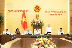 Gian lận điện, nước, xăng dầu: Cần quy định r&otilde; tr&aacute;ch nhiệm ho&agrave;n trả, bồi thường người d&acirc;n