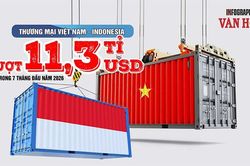 Việt Nam chi 7,73 tỉ USD nhập hàng từ Indonesia, nhập siêu 4,17 tỉ USD