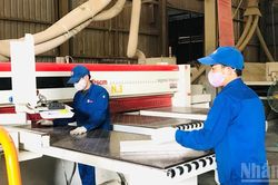 Nâng cao năng lực cạnh tranh cho doanh nghiệp khu công nghiệp