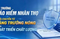 Thị trường bảo hiểm nhân thọ phải chuyển từ tăng trưởng nóng sang phát triển chất lượng