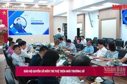 [Video] Bảo hộ quyền sở hữu tr&iacute; tuệ tr&ecirc;n m&ocirc;i trường số