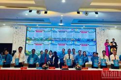 Vĩnh Long triển khai thi đua 'Lao động giỏi, năng suất cao, thu nhập tốt'