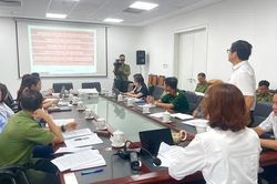 Hải Phòng sẵn sàng cho chương trình đi bộ 'Cùng Việt Nam tiến bước' năm 2026