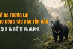 [Video] Mở ra tương lai cho công tác bảo tồn gấu tại Việt Nam