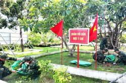 Để đảo xanh thêm xanh