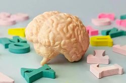 Nói nhiều ngôn ngữ có thể giúp não trẻ hơn tới 13 tuổi