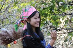 N&acirc;ng cao vai tr&ograve; trường d&acirc;n tộc nội tr&uacute; trong đổi mới gi&aacute;o dục v&ugrave;ng cao