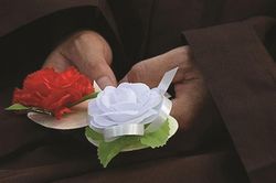 Bông hồng mùa Vu Lan