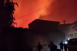 Cháy rừng lan rộng ở Algeria khiến hàng chục người thương vong