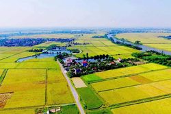 Hồ sơ miễn thuế, giảm thuế đối với thuế sử dụng đất nông nghiệp gồm những gì?