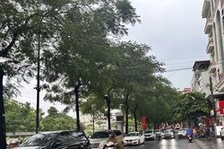 Thời tiết ngày 27/8: Bắc Bộ có lúc có mưa rào và dông