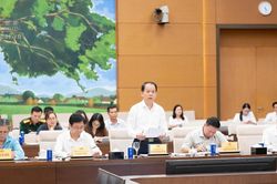 Chỉ cho - nhận con nuôi vì lợi ích tốt nhất của trẻ em